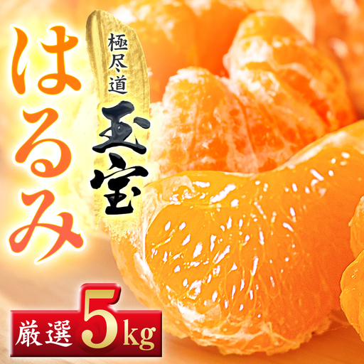 【先行受付】【果粒の旨み】ぷちぷち食感【はるみ】5kg　愛媛県産【64-98】YWTY095