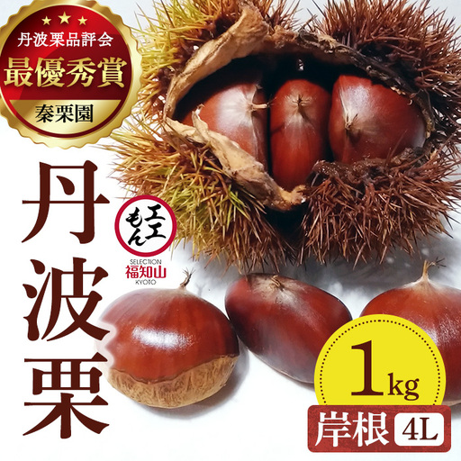 栗 くり 丹波栗 岸根 4L 1kg