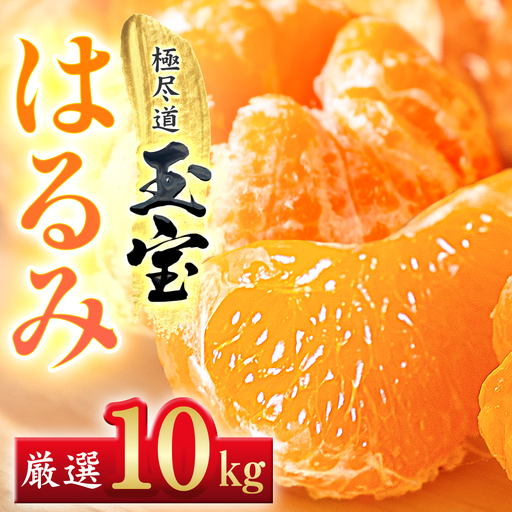 【先行受付】【果粒の旨み】ぷちぷち食感【はるみ】10kg　愛媛県産【64-97】YWTY096