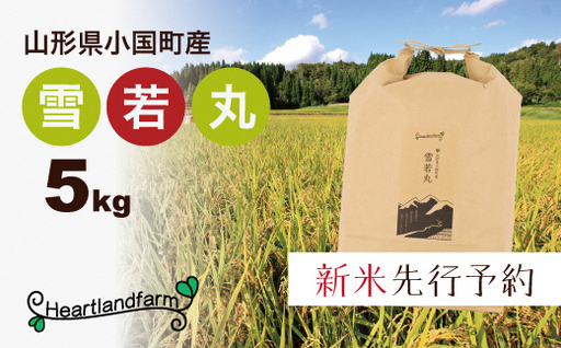 [令和8年産米 先行予約]山形県小国町産 雪若丸5kg 小国地産