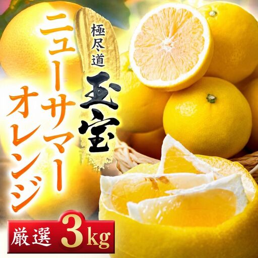 【先行受付】【愛媛名産】玉宝ニューサマーオレンジ　3kg【64-105】YWTY097