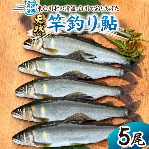清流白川 天然鮎 5尾 冷凍 竿釣り 鮎 あゆ アユ 川魚 天然 清流 魚介 おかず おつまみ グルメ 食品 BBQ バーベキュー 冷凍 真空パック 岐阜県産 東白川村 川釣り