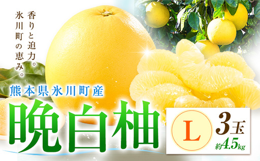柑橘 晩白柚 L 3玉 4.5kg 日本フルーツ株式会社