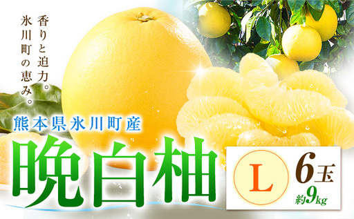 柑橘 晩白柚 L 6玉 9kg 日本フルーツ株式会社
