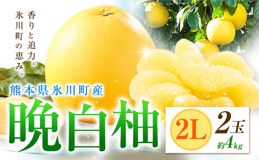 柑橘 晩白柚 2L 2玉 4kg 日本フルーツ株式会社
