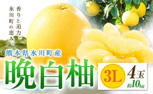 柑橘 晩白柚 3L 4玉 10kg 日本フルーツ株式会社