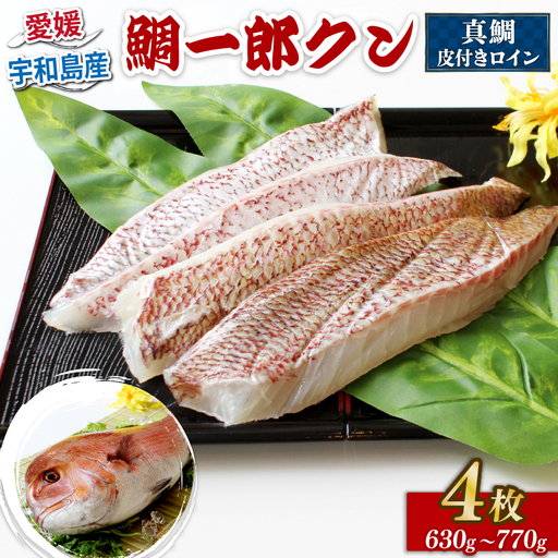 [真鯛] 鯛一郎クン 皮付き ロイン 4枚 真鯛 株式会社タイチ