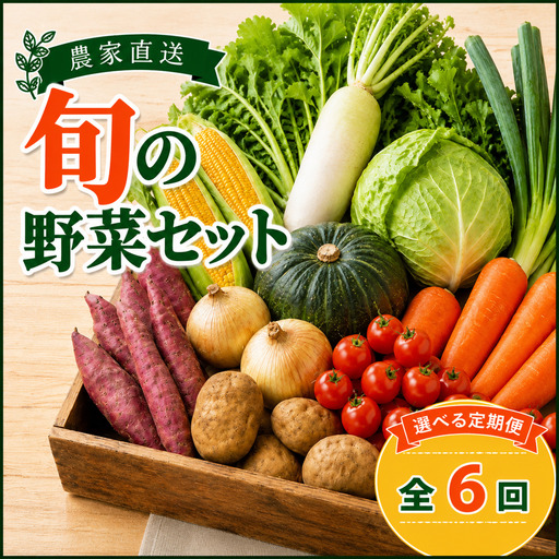 定期便 旬野菜セット 全6回 隔月