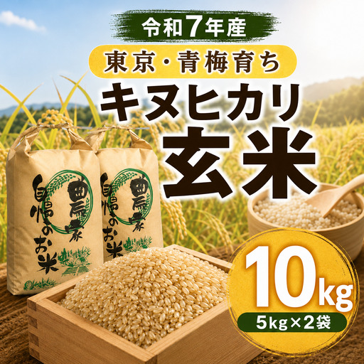 米 令和7年度産 玄米 10kg(5kg×2) 