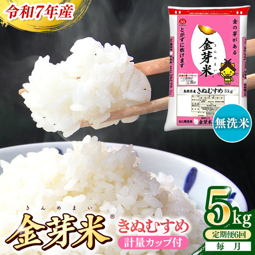 【定期便】BG無洗米・金芽米きぬむすめ 5kg×6ヵ月【毎月】計量カップ付き【令和7年産 6ヶ月 計30kg 東洋ライス 健康 島根県 安来市】【価格改定】【90-SS-04】