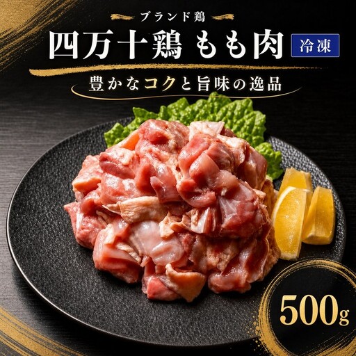 鶏もも肉 500g (500g×1袋) 冷凍 四万十鶏[1785]