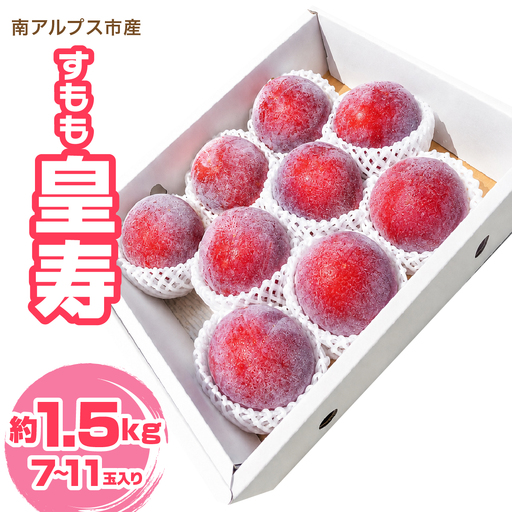 ＜2026年発送先行予約＞南アルプス市産 すもも「皇寿」約1.5kg（7～11玉入り） ALPFN010