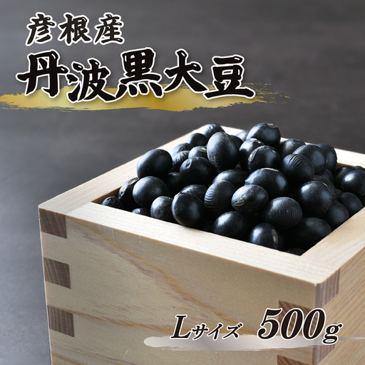 【予約受付】 令和8年産 彦根産 丹波黒大豆 丹波黒 500g Lサイズ 中粒 黒豆 くろまめ 正月 おせち 滋賀 彦根