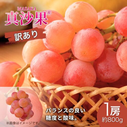[2026年先行予約]訳あり 真沙果®︎まさか (約800g)1房 | 果物 フルーツ 赤ぶどう 葡萄 ブドウ 種無し 種なし 皮ごと 千曲市 長野県 信州