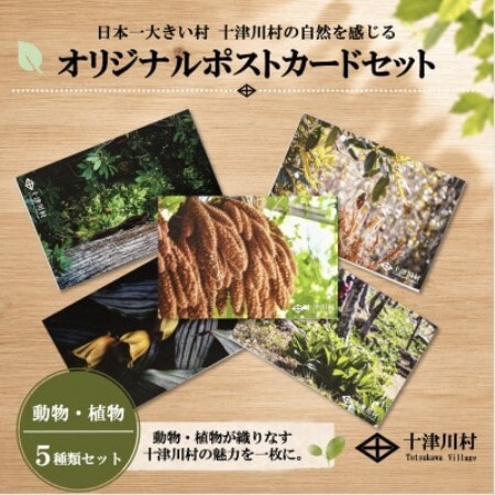 [ふるさと納税限定]十津川村風景ポストカードセット 5枚入り 動物・植物
