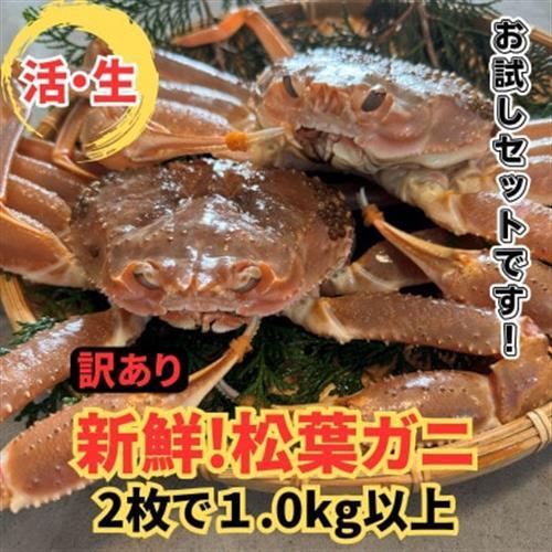 【さかなや新鮮組】鳥取県産 訳あり 活松葉ガニ1.0kgセット ご家庭用 漁港直送【配送不可地域：離島・北海道・沖縄県・東北・信越、北陸】【1759402】