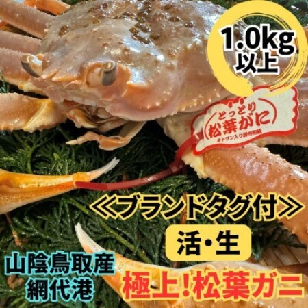 [さかなや新鮮組]鳥取県産 ブランドタグ付き 活 極上松葉ガニ(1.0kg以上) 1枚[配送不可地域:離島・北海道・沖縄県・東北・信越、北陸]
