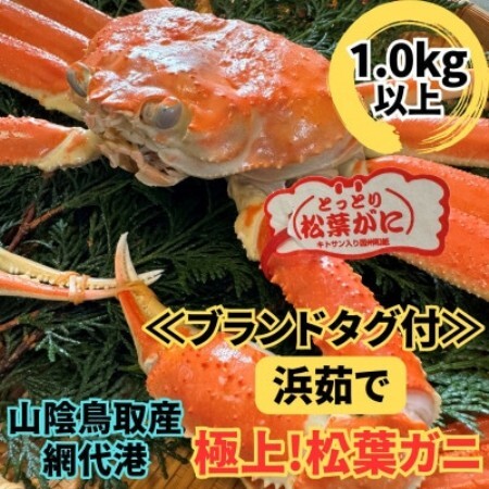 [さかなや新鮮組]鳥取県産 ブランドタグ付き 浜茹で 極上松葉ガニ(1.0kg以上) 1枚[配送不可地域:離島・北海道・沖縄県・東北・信越、北陸]