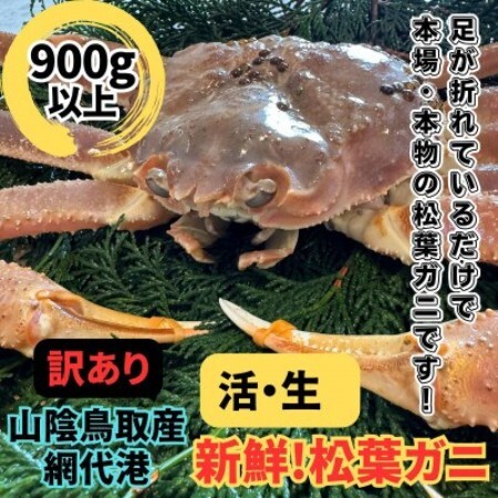 【さかなや新鮮組】鳥取県産 訳あり 活松葉ガニ(900g以上) 1枚 漁港直送【配送不可地域：離島・北海道・沖縄県・東北・信越、北陸】【1759523】