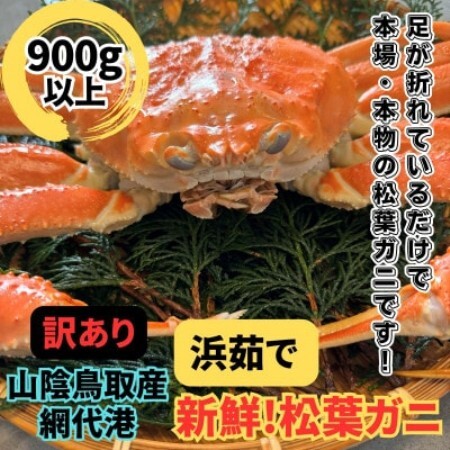 【さかなや新鮮組】鳥取県産 訳あり 浜茹で松葉ガニ(900g以上) 1枚 漁港直送【配送不可地域：離島・北海道・沖縄県・東北・信越、北陸】【1759529】