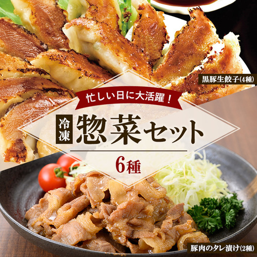 冷凍 惣菜 詰め合わせ セット 鹿児島県産 豚肉使用 たれ漬け豚肉 2種と 黒豚餃子 4種 お惣菜 【01-008-40】