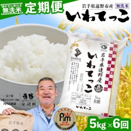 【毎月定期便】〈無洗米〉岩手県 遠野市産 いわてっこ 5kg 【 コメマルシェ 河判 】全6回【4089957】