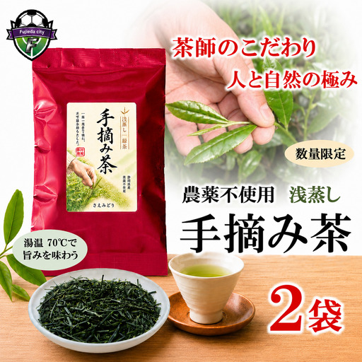 [手摘み茶] 浅蒸し さえみどり 50g × 2袋 緑茶 日本茶 藤枝市 静岡県