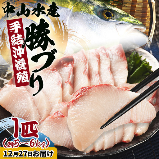 [12月27日お届け]「勝ブリ」 1匹(5kg〜6kg) ブリ ny-0018