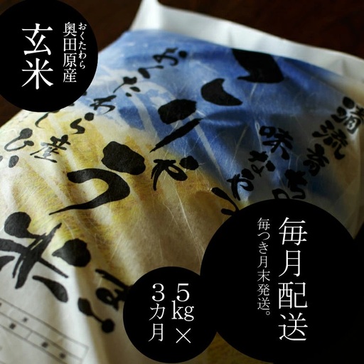 安来のお米[定期便] こりゃう米(まい)玄米 5kg×3回(毎月)令和7年産 コシヒカリ