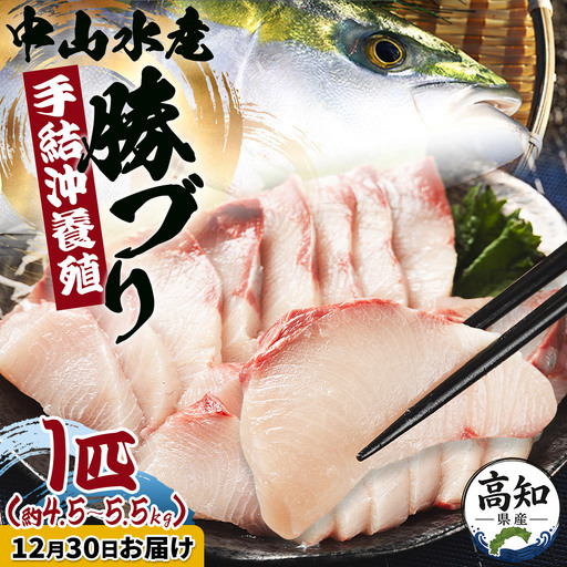 【12月30日お届け】「勝ブリ」 1匹(4.5kg～5.5kg) ブリ ny-0021