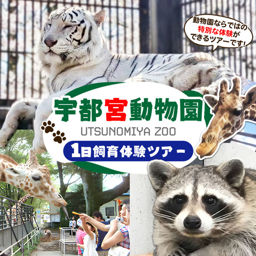 1日飼育体験(獣医師体験含む)ツアー | 宇都宮動物園 動物園 どうぶつえん 獣医師体験 栃木県 宇都宮市