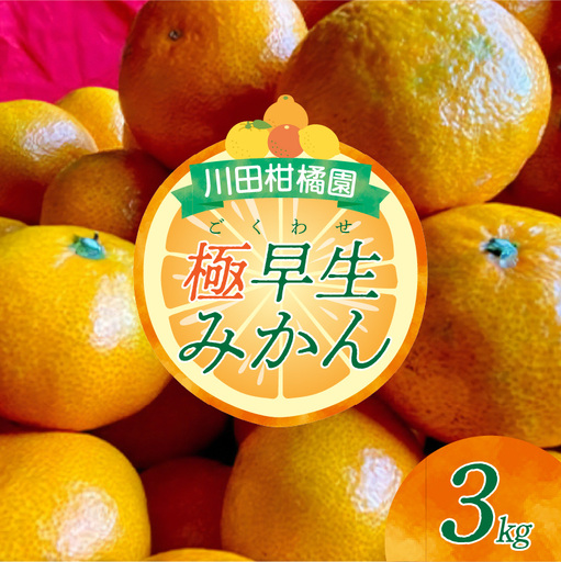 先行受付 2026年9月下旬～発送 呉市大長産 「極早生みかん」3kg
