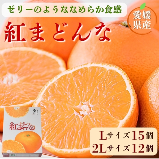 [2026年先行予約]みかん 紅まどんな 青秀 L〜2Lサイズ 3kg 化粧箱 [2026年11月中旬以降順次発送] 数量限定 人気 柑橘 愛媛 伊予市|