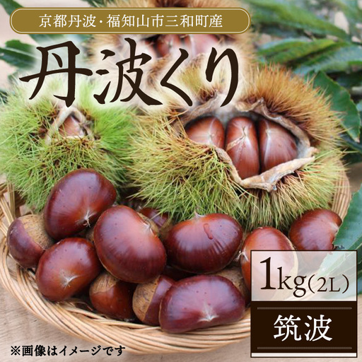 京都丹波 丹波くり 1kg 筑波 2L 丹波かなまろんふぁーむ