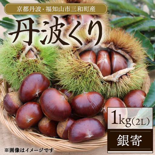京都丹波 丹波くり 1kg 銀寄 2L 丹波かなまろんふぁーむ