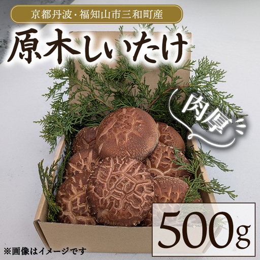 京都丹波 原木しいたけ 500g 丹波かなまろんふぁーむ