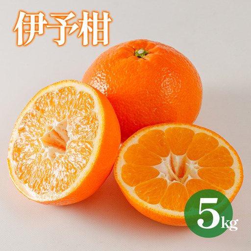 [2027年1月下旬から順次発送 ][伊予柑] 約5kg 伊予柑 愛媛県松山市
