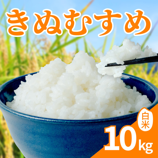 【新米】 令和8年産 「きぬむすめ」 10kg ｜ 新米