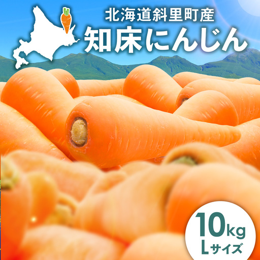北海道斜里町 知床にんじん 10kg(Lサイズ) | 人参 北海道産 野菜 北海道 斜里町