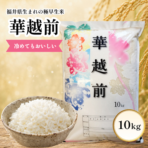 華越前 (ハナエチゼン) 10kg 令和8年度産 福井県 越前市産[期間限定販売]