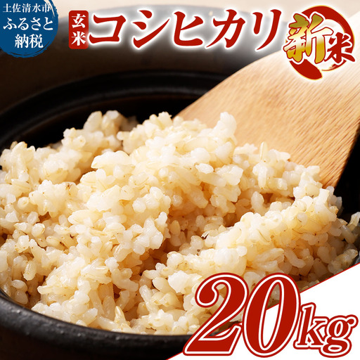 令和8年産 新米 コシヒカリ 玄米20kg(10kg×2袋)8月中旬以降発送予定 お米 健康食品 20000g 20キロ おこめ 米 ごはん こしひかり ブランド米 常温 国産 高知県 土佐清水市[R01737]