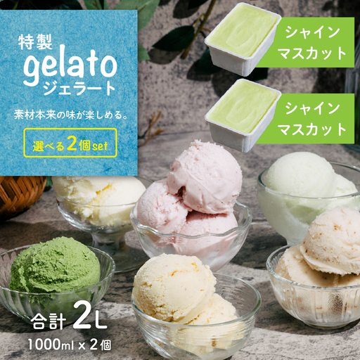 [ふるなび限定]ジェラート 1L×2個 アイス シャインマスカット × シャインマスカット ジェラート FN-Limited-PR