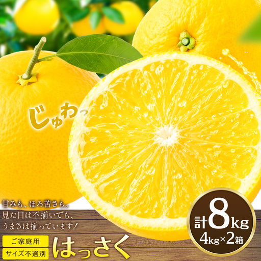 八朔 はっさく ご家庭用 サイズ不選別 おすそ分け 計8kg(4kg×2箱)