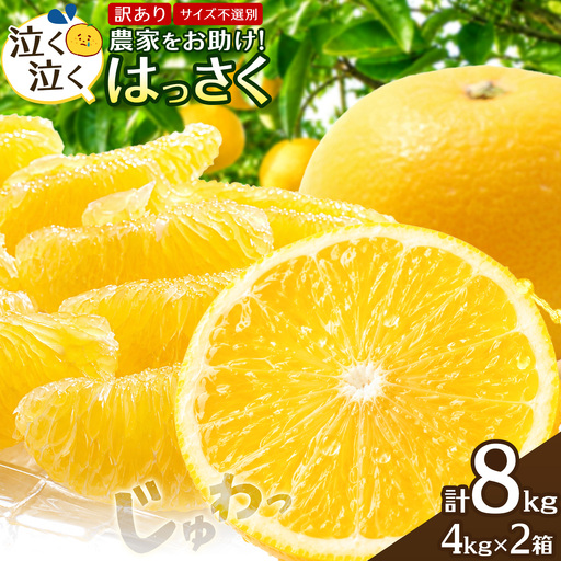 八朔 はっさく 訳あり サイズ不選別 おすそ分け 計8kg(4kg×2箱)