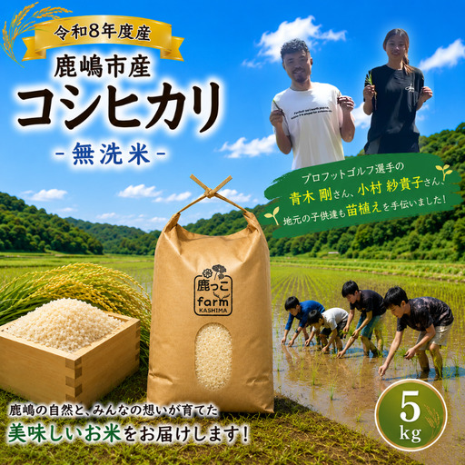 【 無洗米 】 こしひかり 米 5kg 新米 鹿嶋市 【2026年10月以降発送】