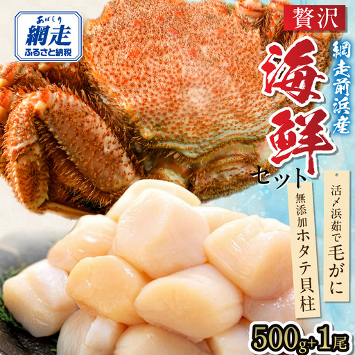【数量限定】＜網走前浜産＞贅沢海鮮セット【無添加ホタテ貝柱500g(250g×2)・活〆浜茹で毛がに1尾(540～570g)】 ABAI049