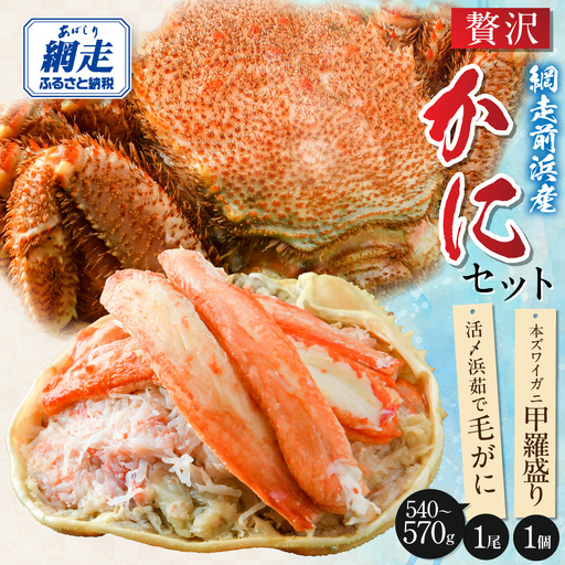 【数量限定】＜網走前浜産＞贅沢かにセット【活〆浜茹で毛がに 1尾(540～570g)・本ズワイガニ甲羅盛り1個(かに肉120g)】 ABAI053