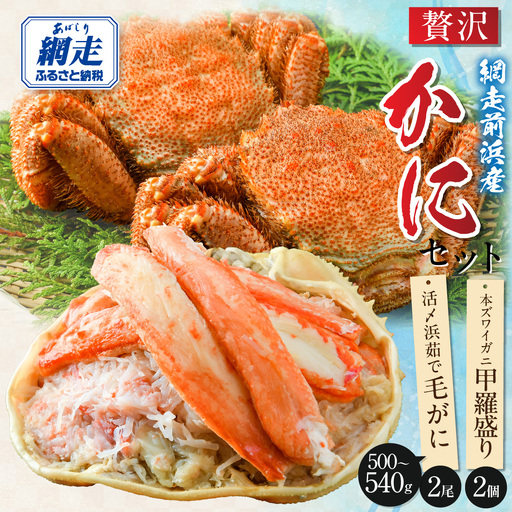 【数量限定】＜網走前浜産＞贅沢かにセット【活〆浜茹で毛がに 2尾(540～570g)・本ズワイガニ甲羅盛り2個(かに肉150g)】 ABAI054