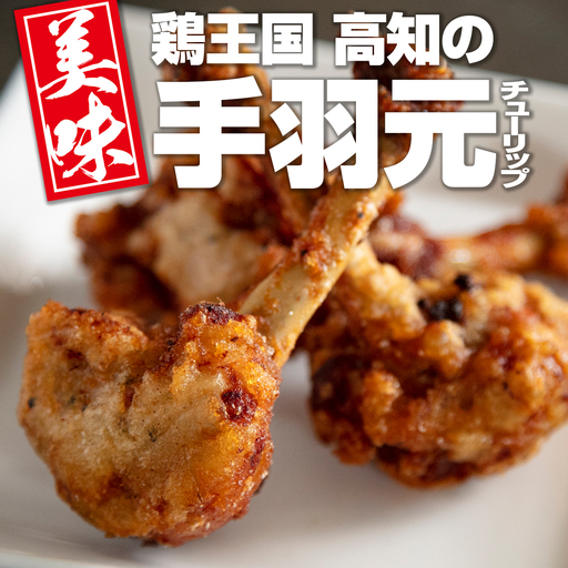 手羽元 チューリップ唐揚げ 600g　高知県産 地鶏 温めるだけ 真空パック 惣菜 おかず