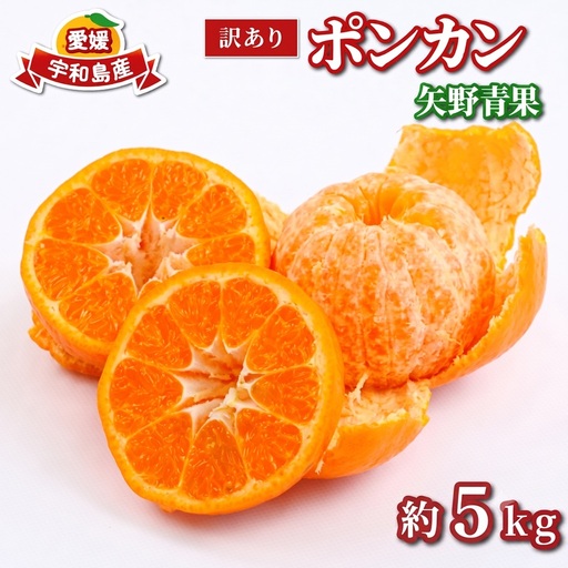 [ポンカン]冬の柑橘ポンカン 約 5kg 矢野青果